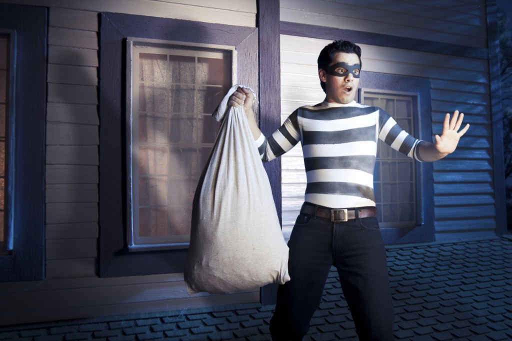 Burglar caught on the roof of a house